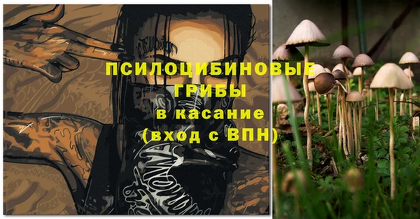 прущая мука Зеленодольск