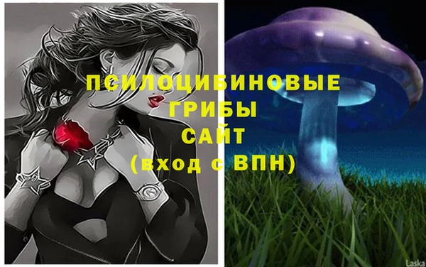 гидропоника Инсар
