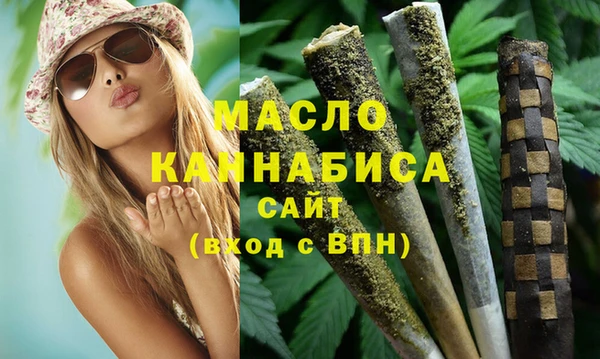 СК Инта