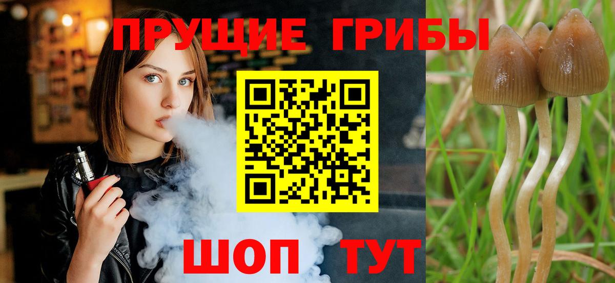 дарнет шоп  Галлюциногенные грибы Magic Shrooms  Назарово  Вход с VPN  Галлюциногенные грибы Psilocybe 
